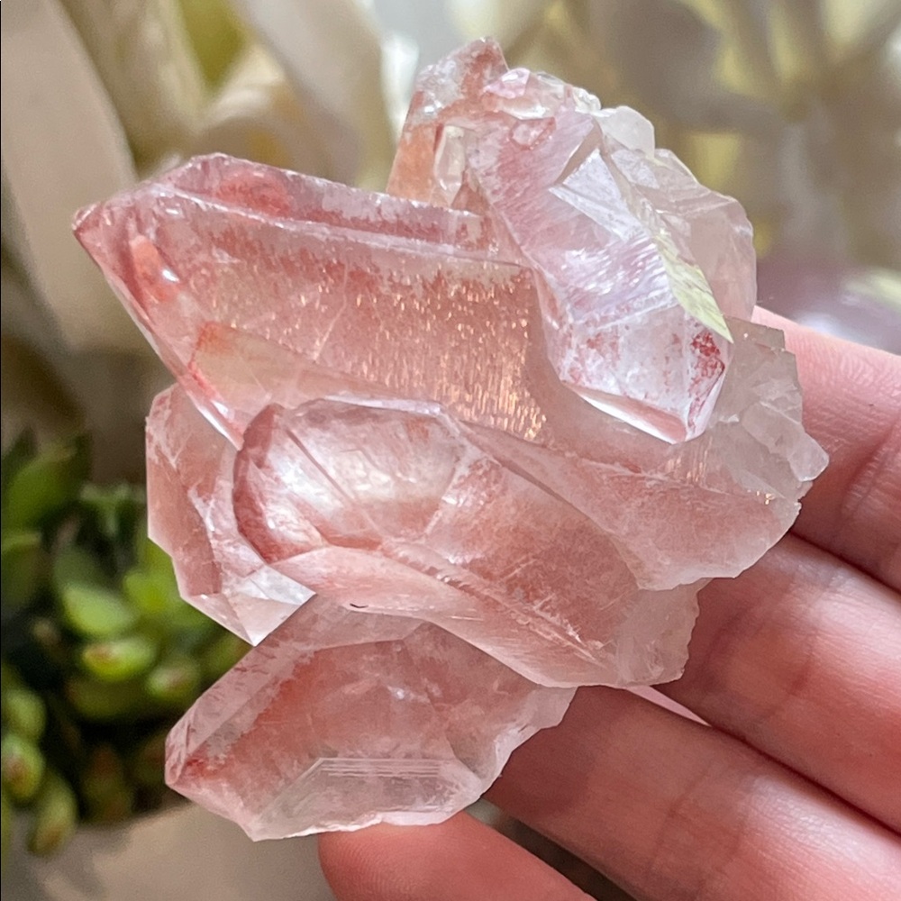 Pink lemurian Quartz Crystal Cluster